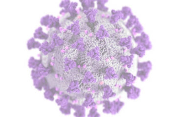 image d'un coronavirus