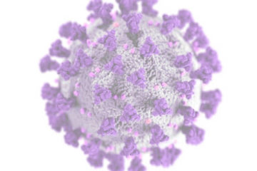 image d'un coronavirus
